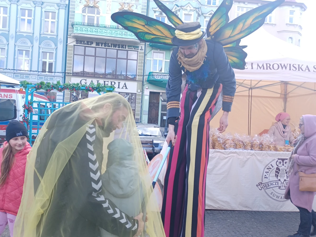 Zdjęcie