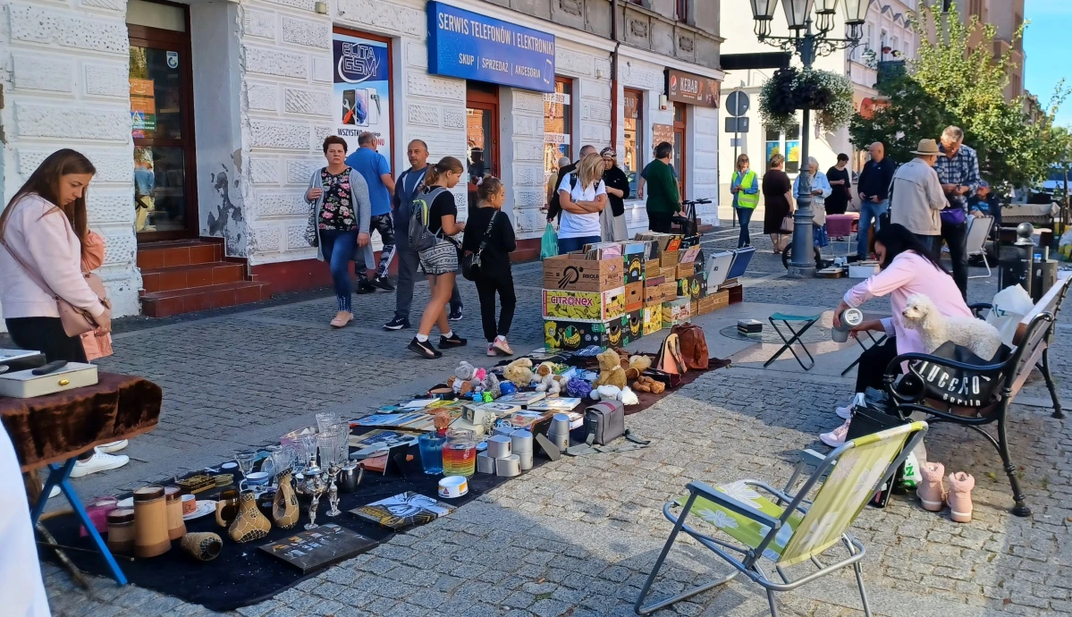 Zdjęcie