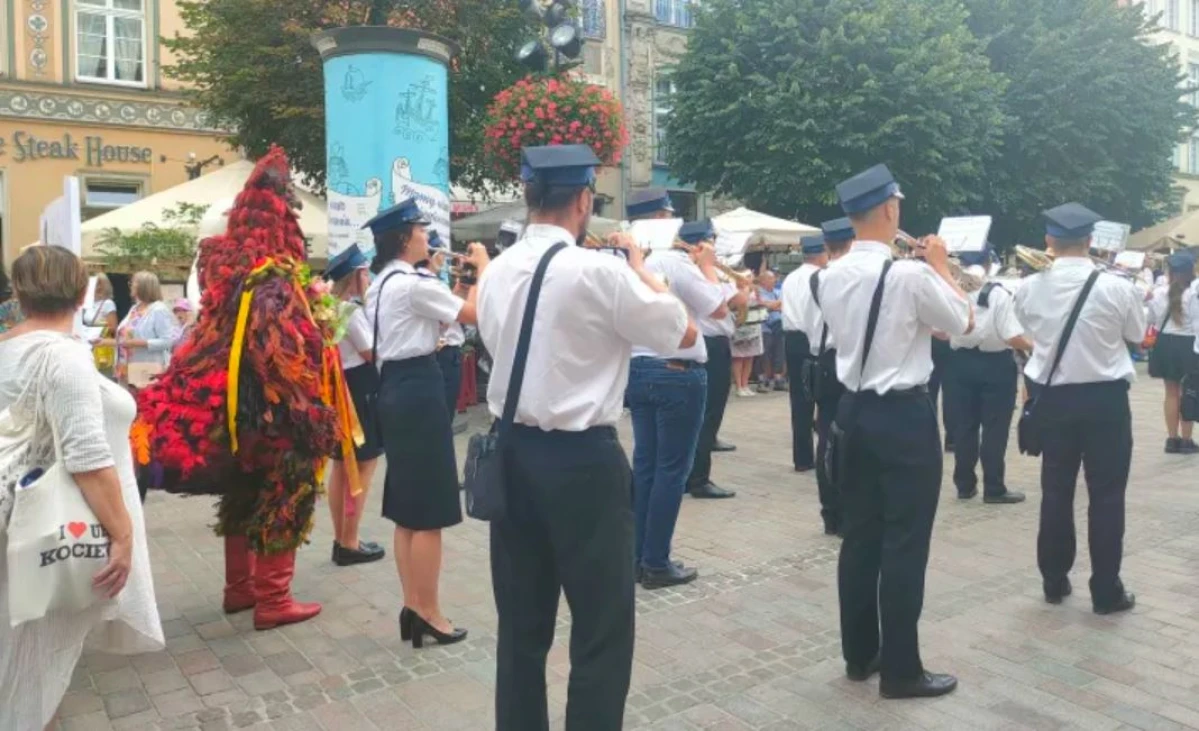 Zdjęcie