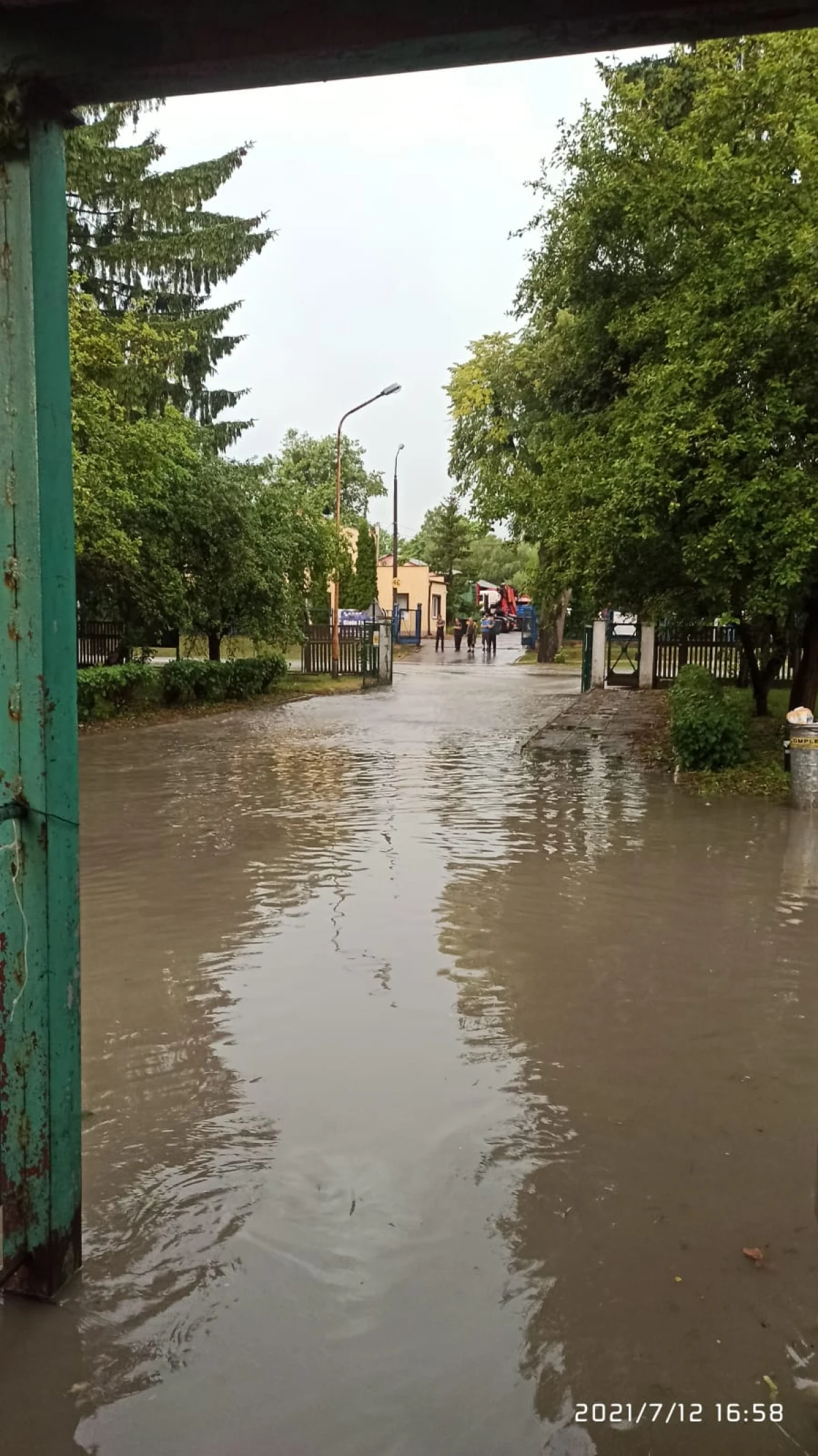 Zdjęcie