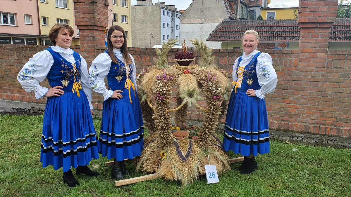 Zdjęcie