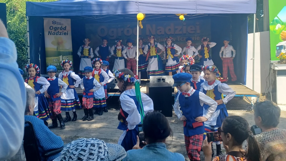 Zdjęcie