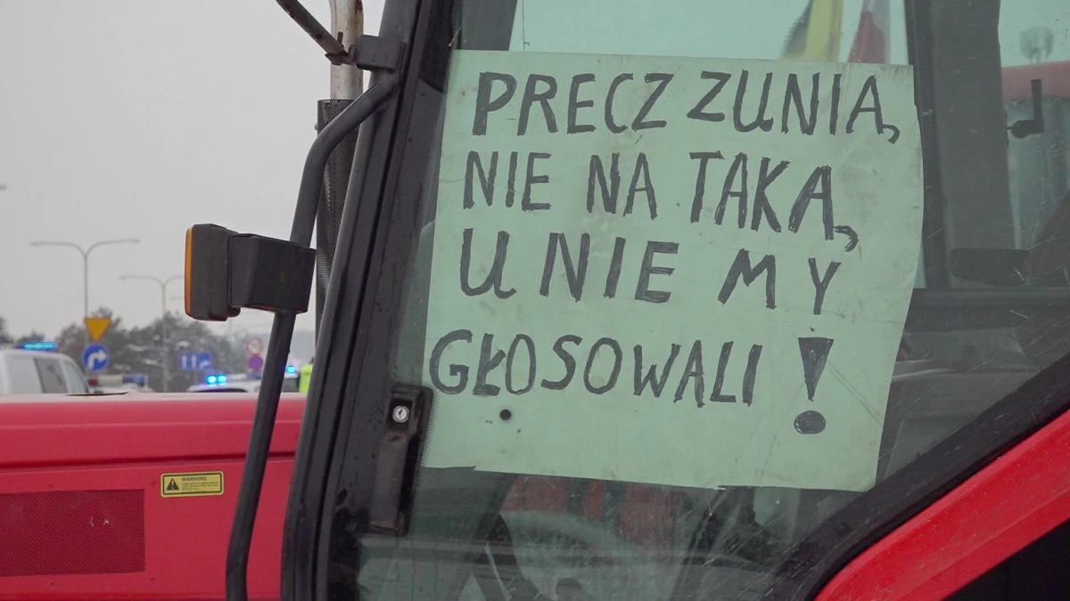 Zdjęcie