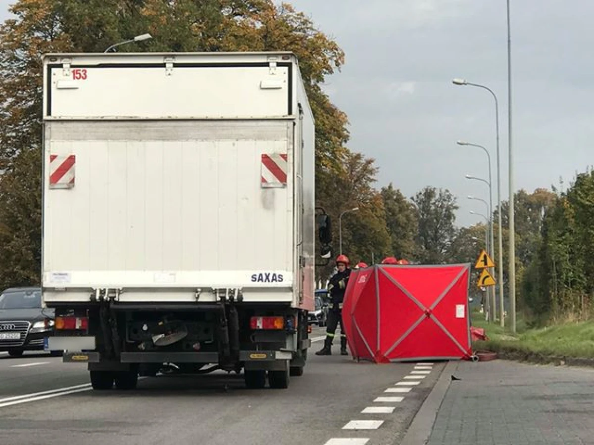 Zdjęcie
