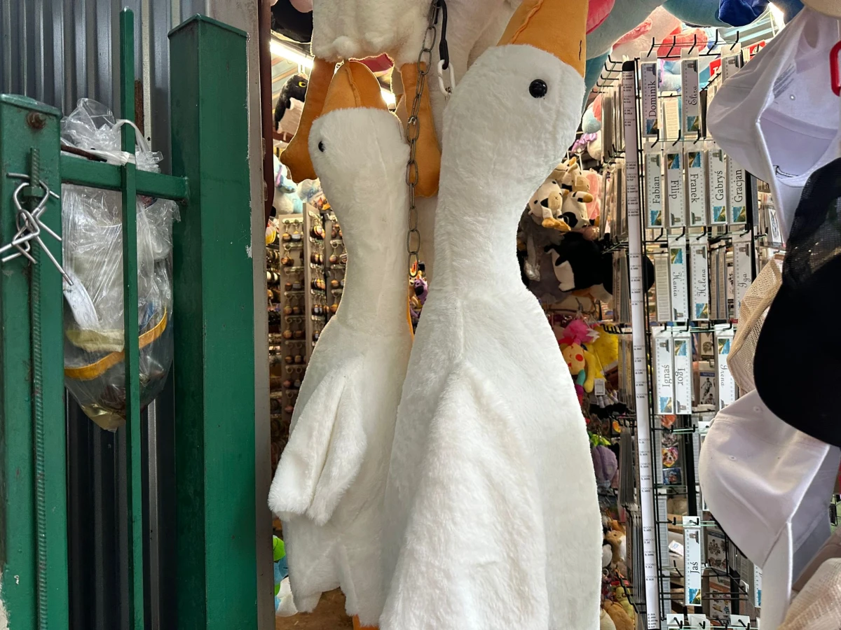 Zdjęcie