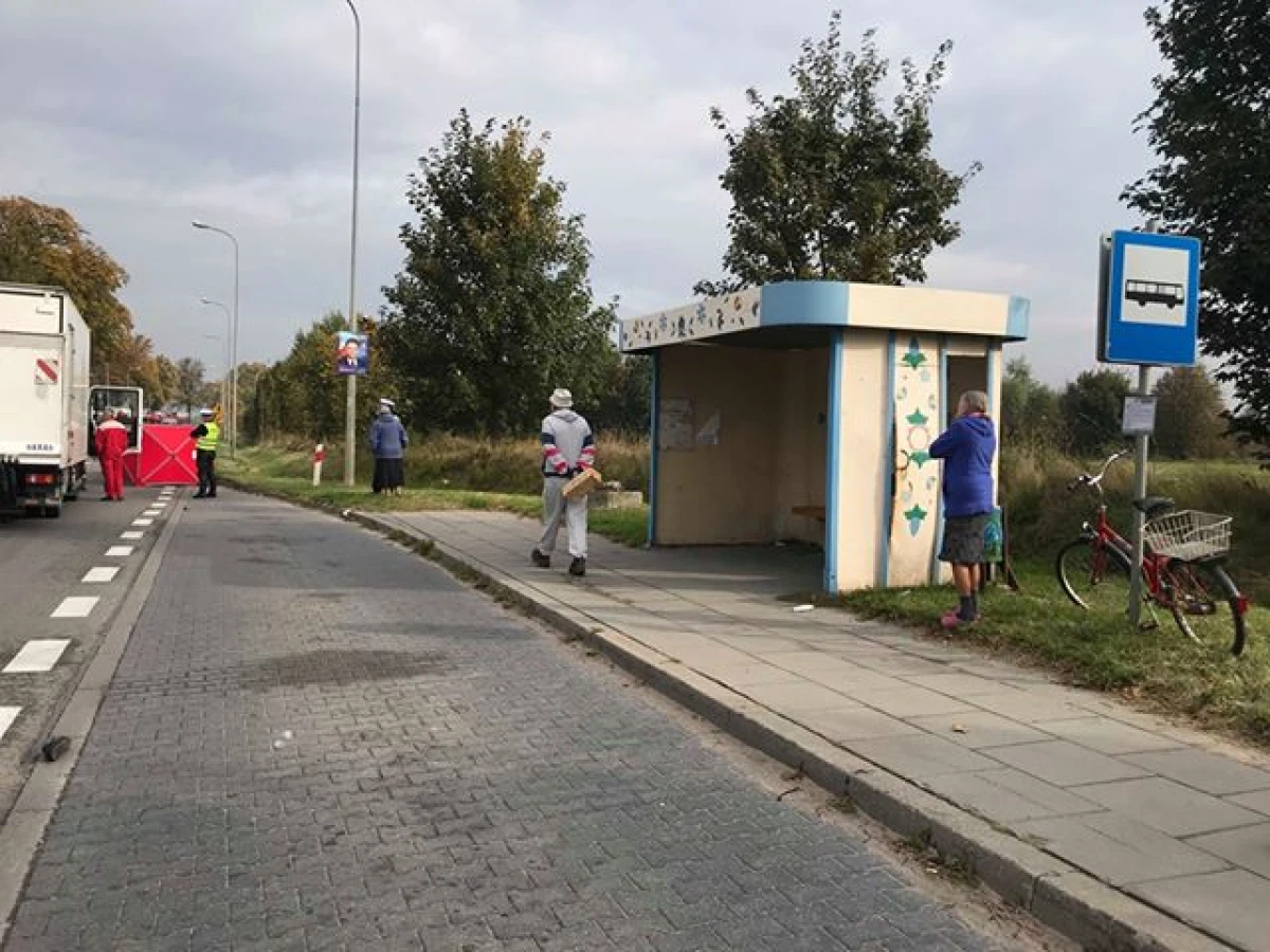 Zdjęcie