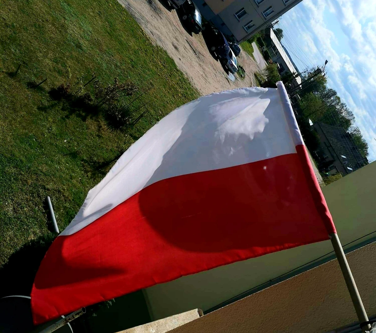 Zdjęcie