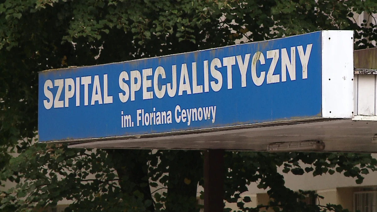 Zdjęcie