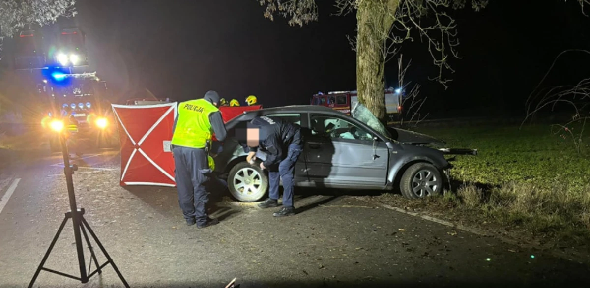 Zdjęcie