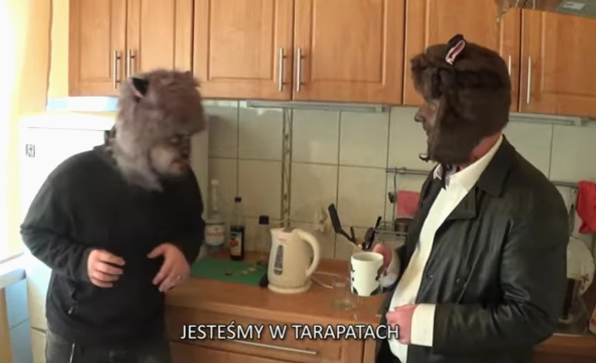 Zdjęcie