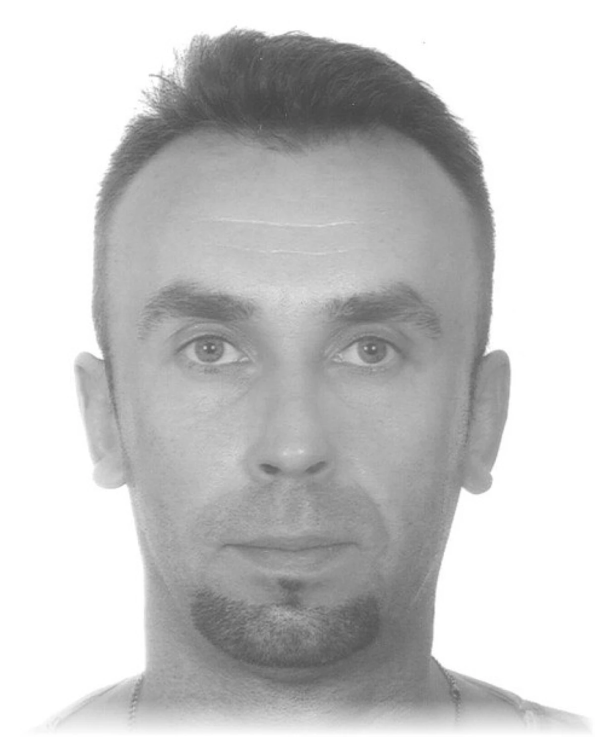 Zdjęcie