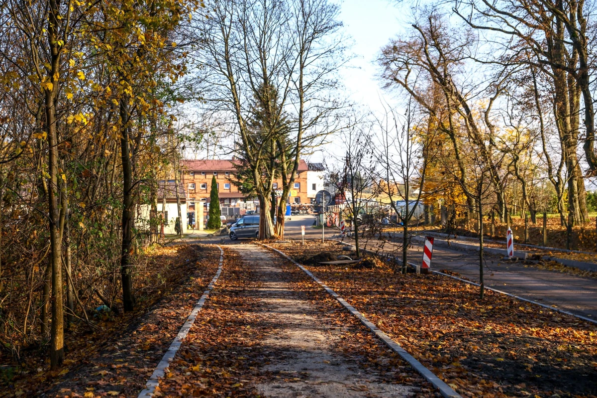 Zdjęcie
