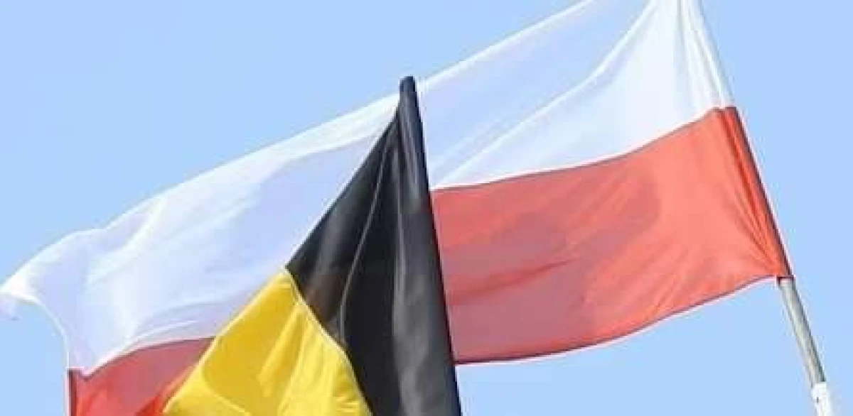 Zdjęcie