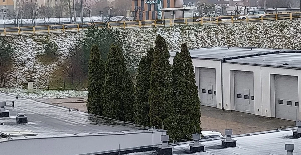 Zdjęcie