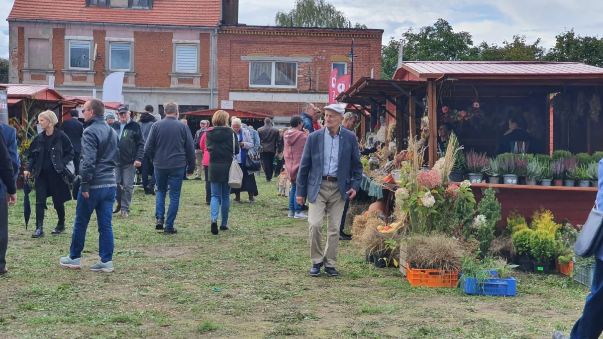 Zdjęcie