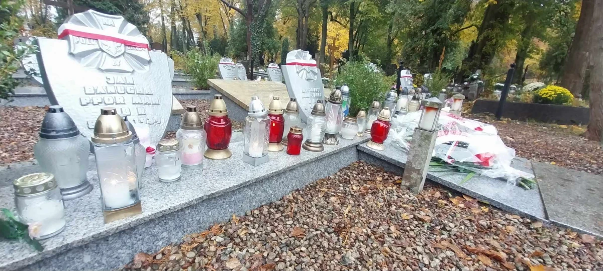 Zdjęcie