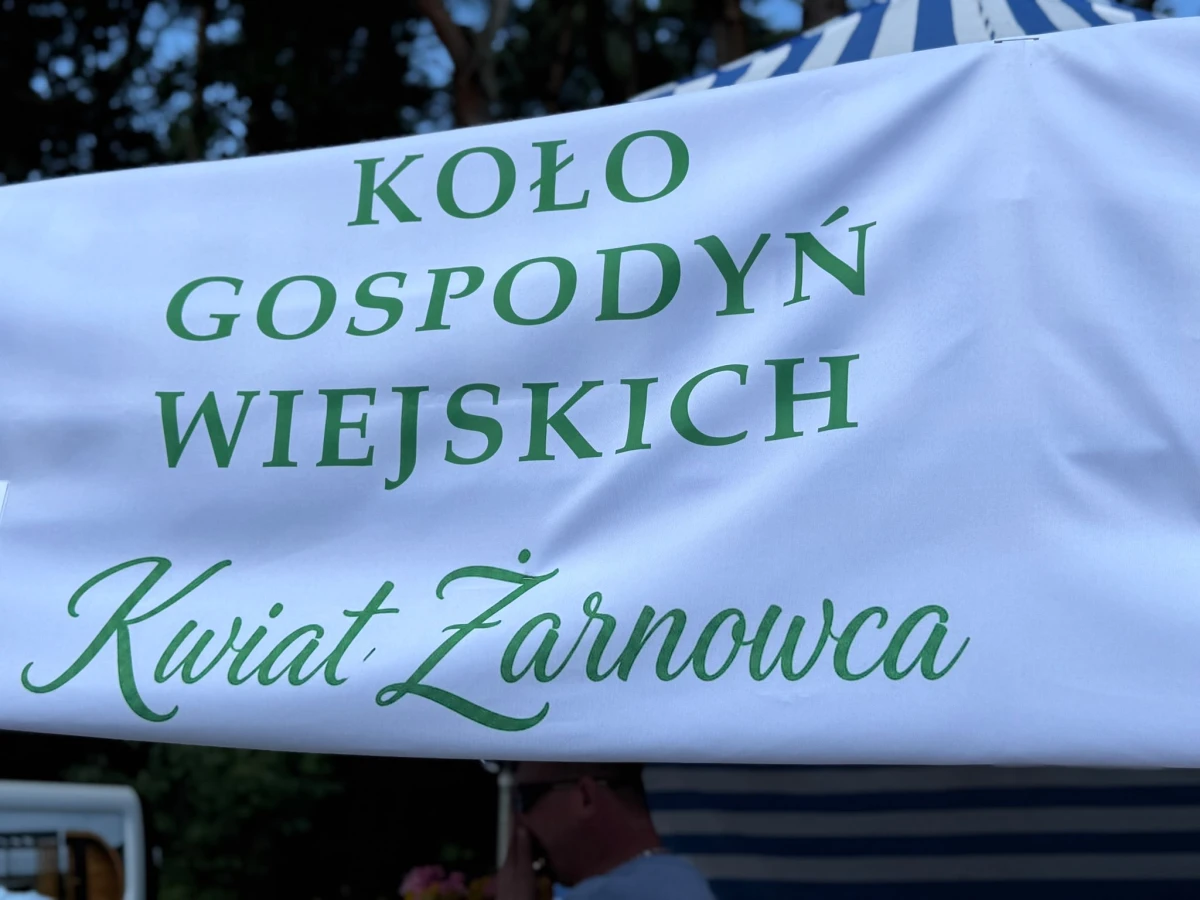 Zdjęcie