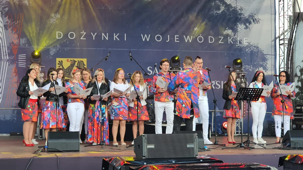 Zdjęcie