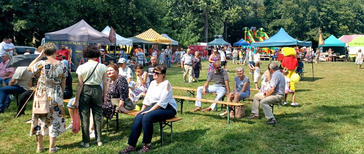 Zdjęcie