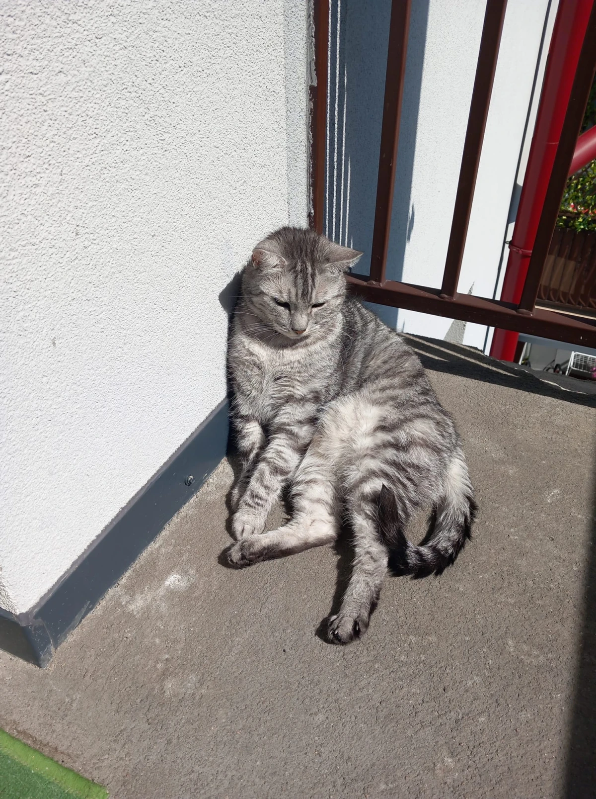 Zdjęcie
