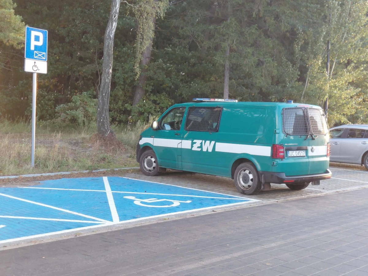 Zdjęcie