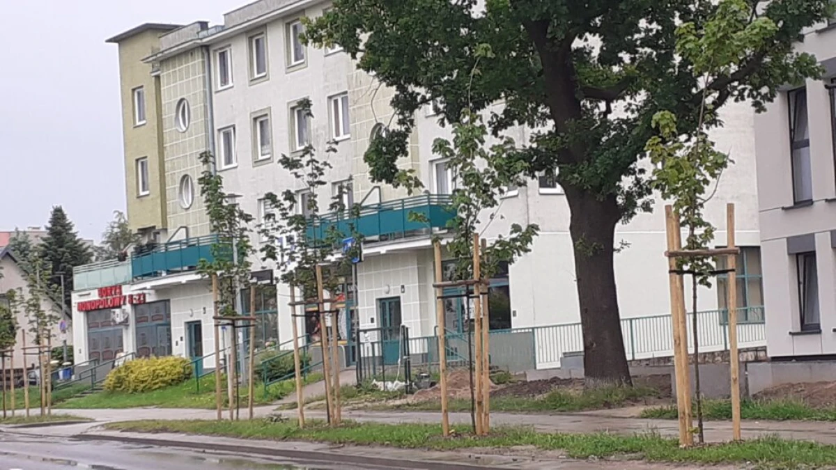 Zdjęcie