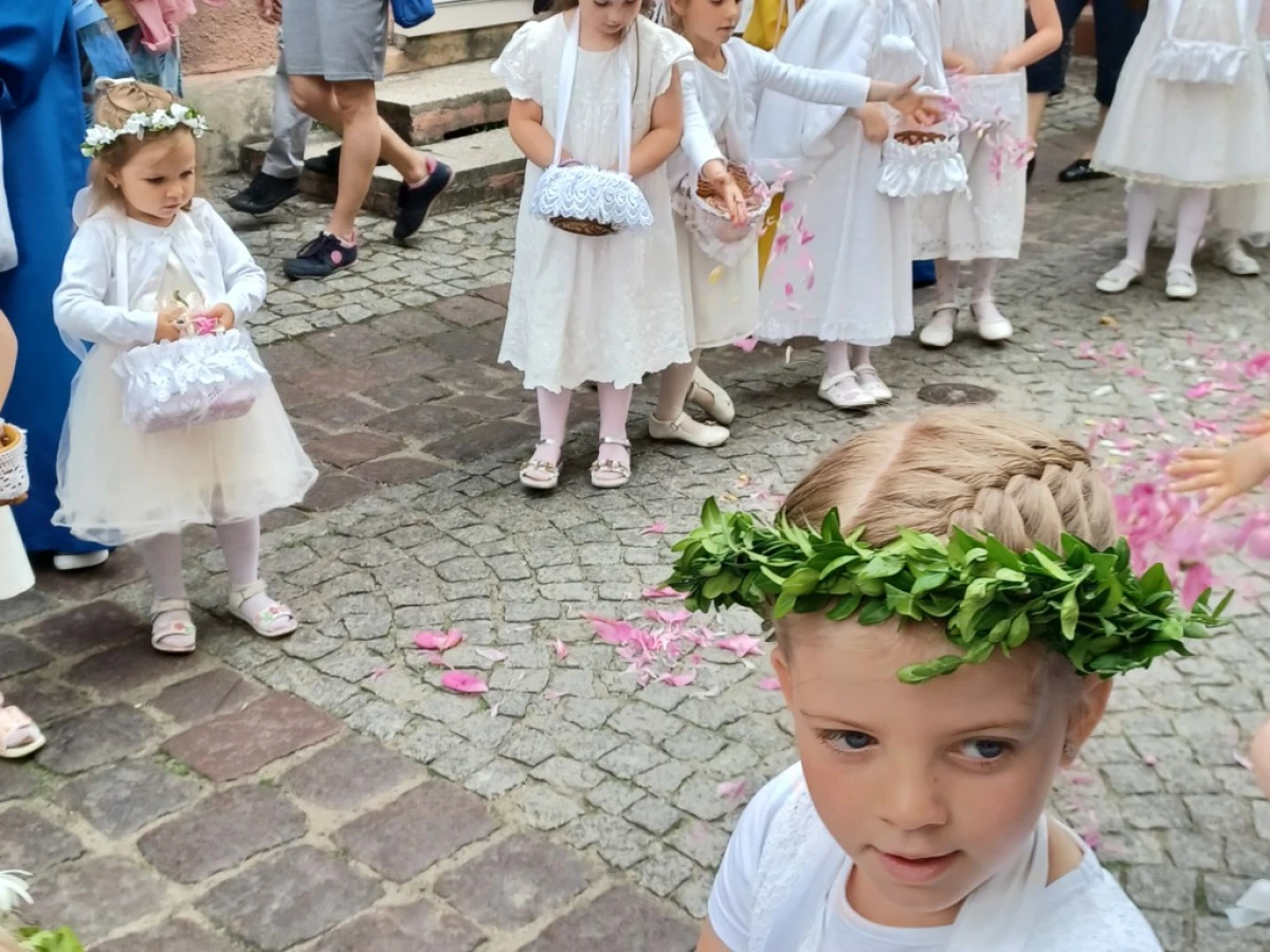 Zdjęcie