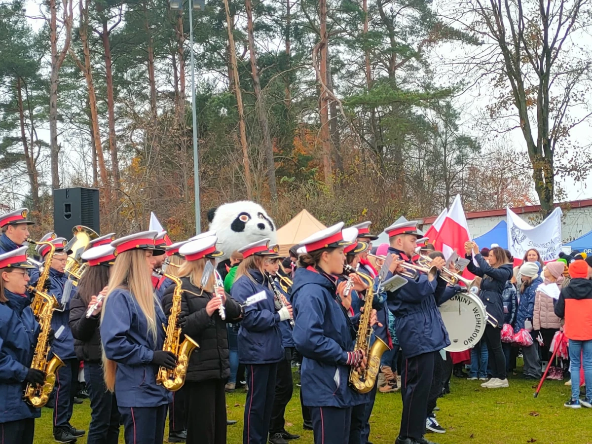 Zdjęcie