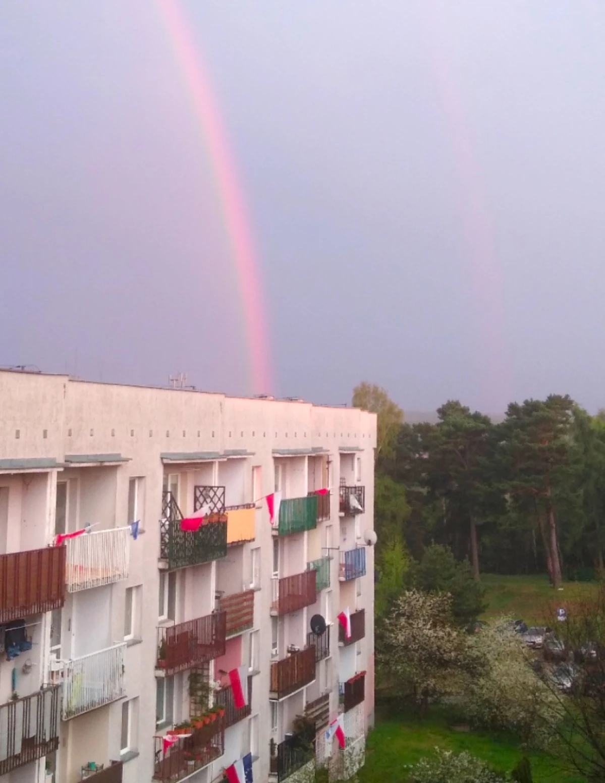 Zdjęcie