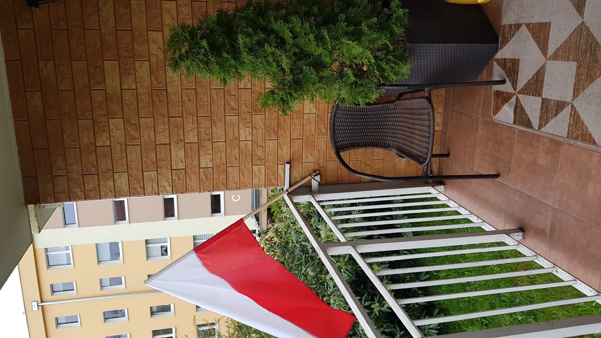 Zdjęcie