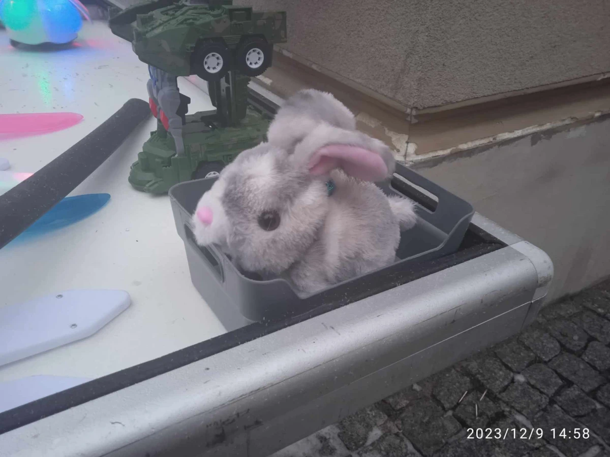 Zdjęcie