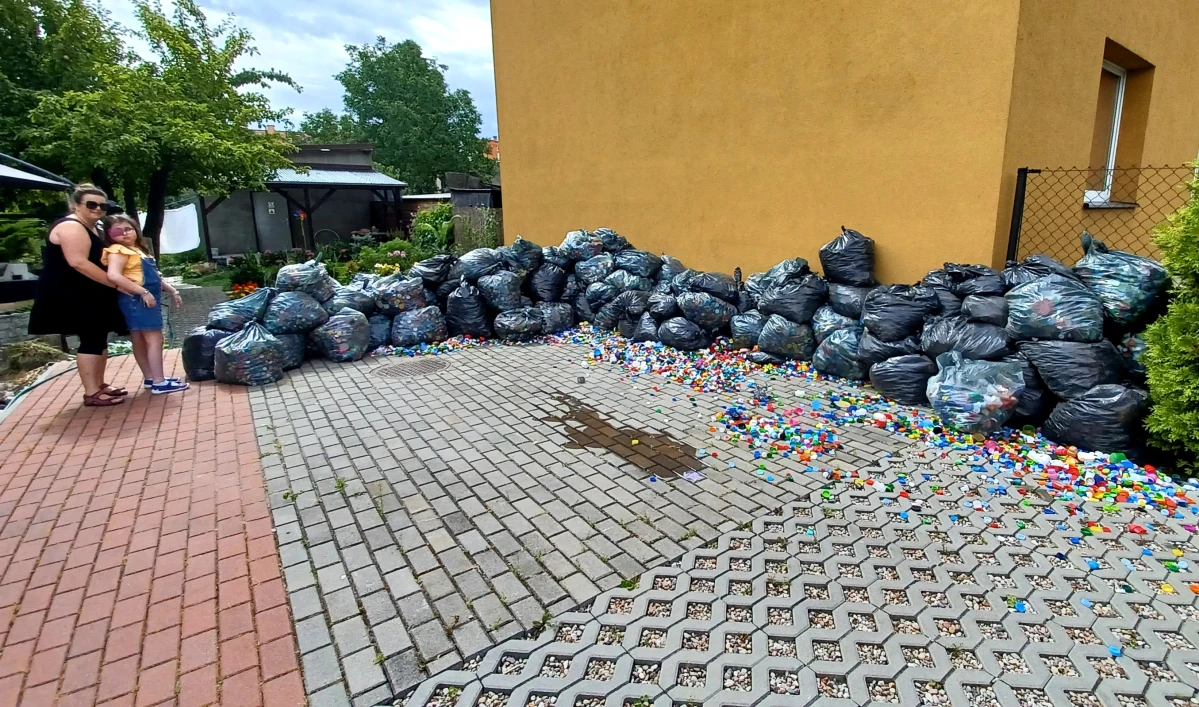 Zdjęcie