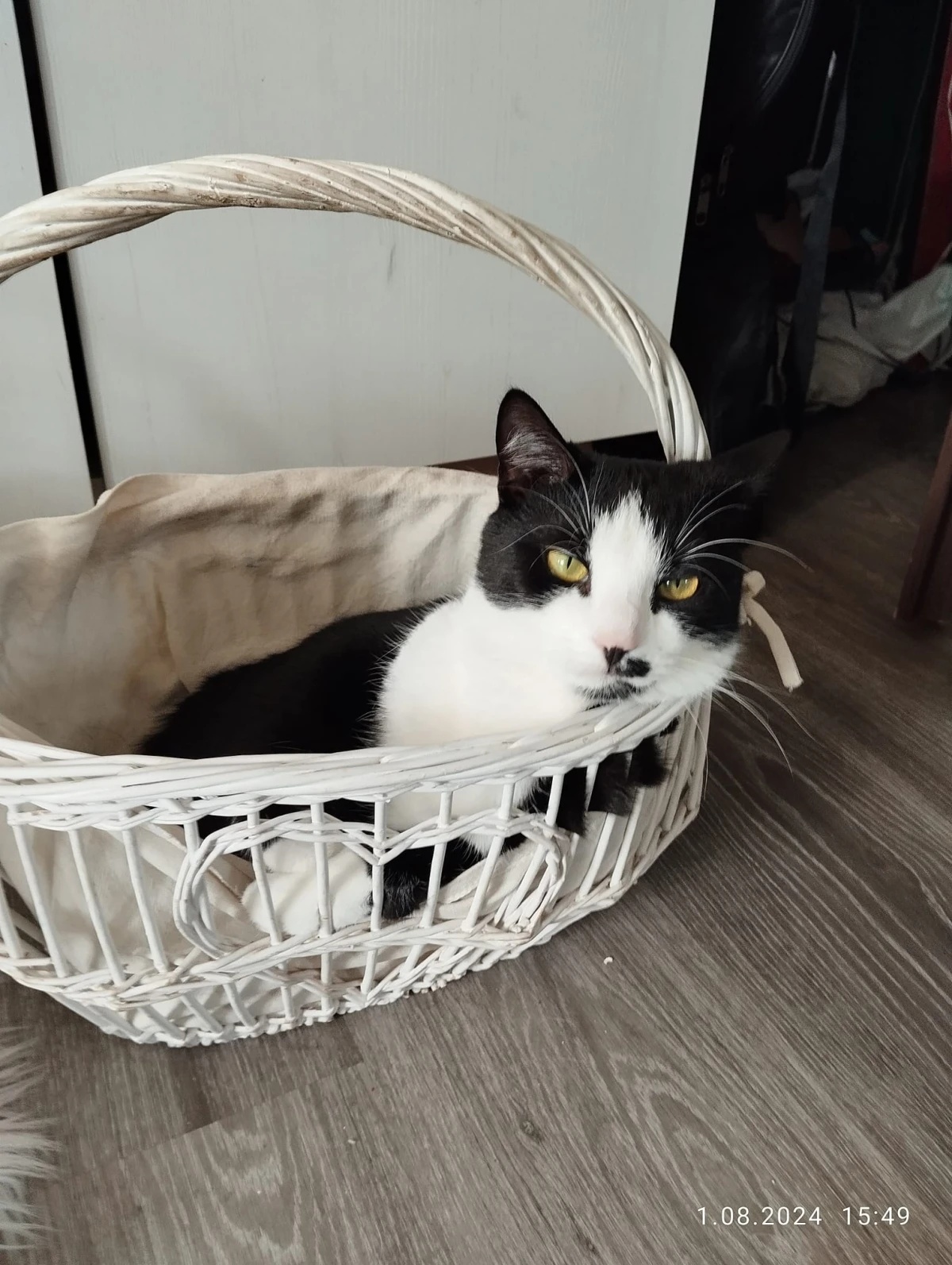 Zdjęcie
