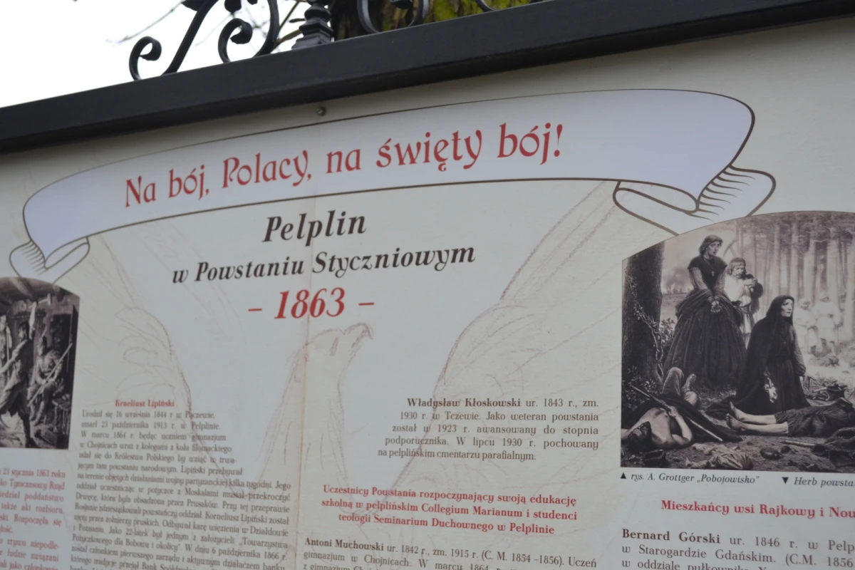 Zdjęcie