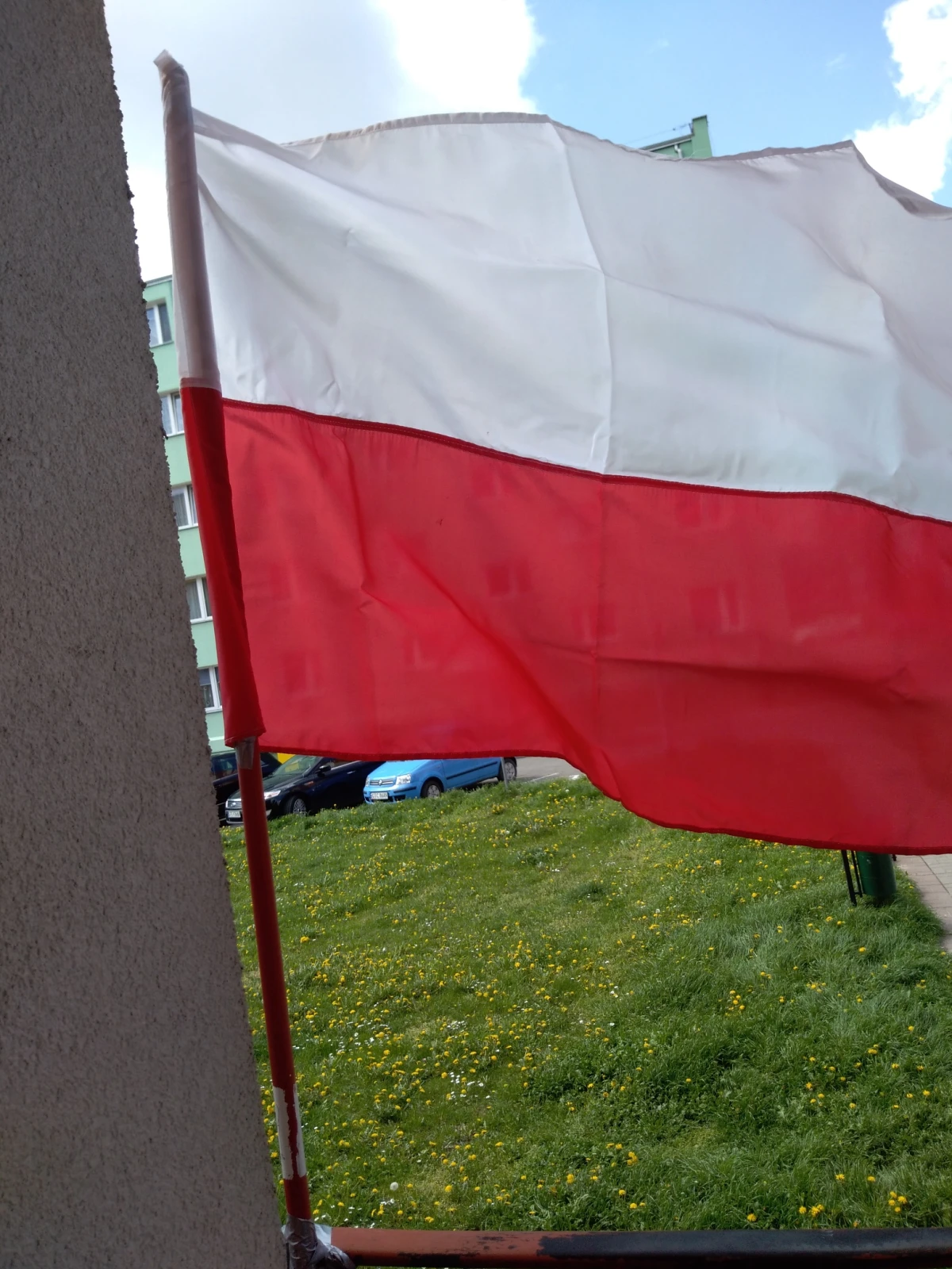 Zdjęcie