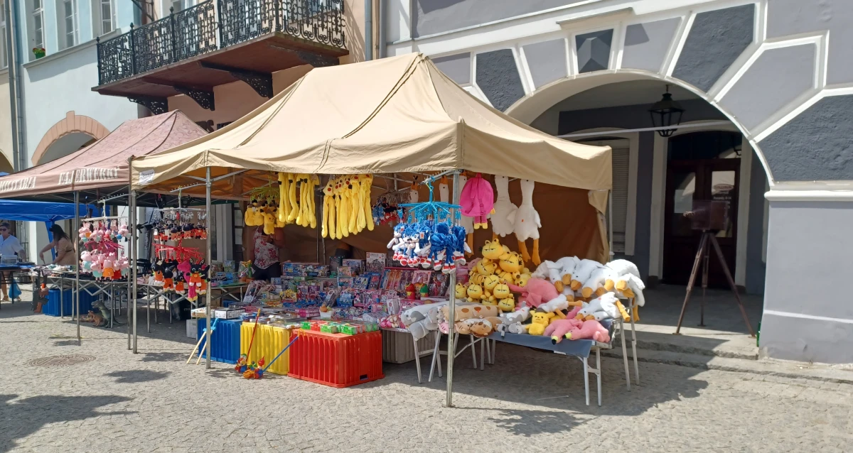 Zdjęcie