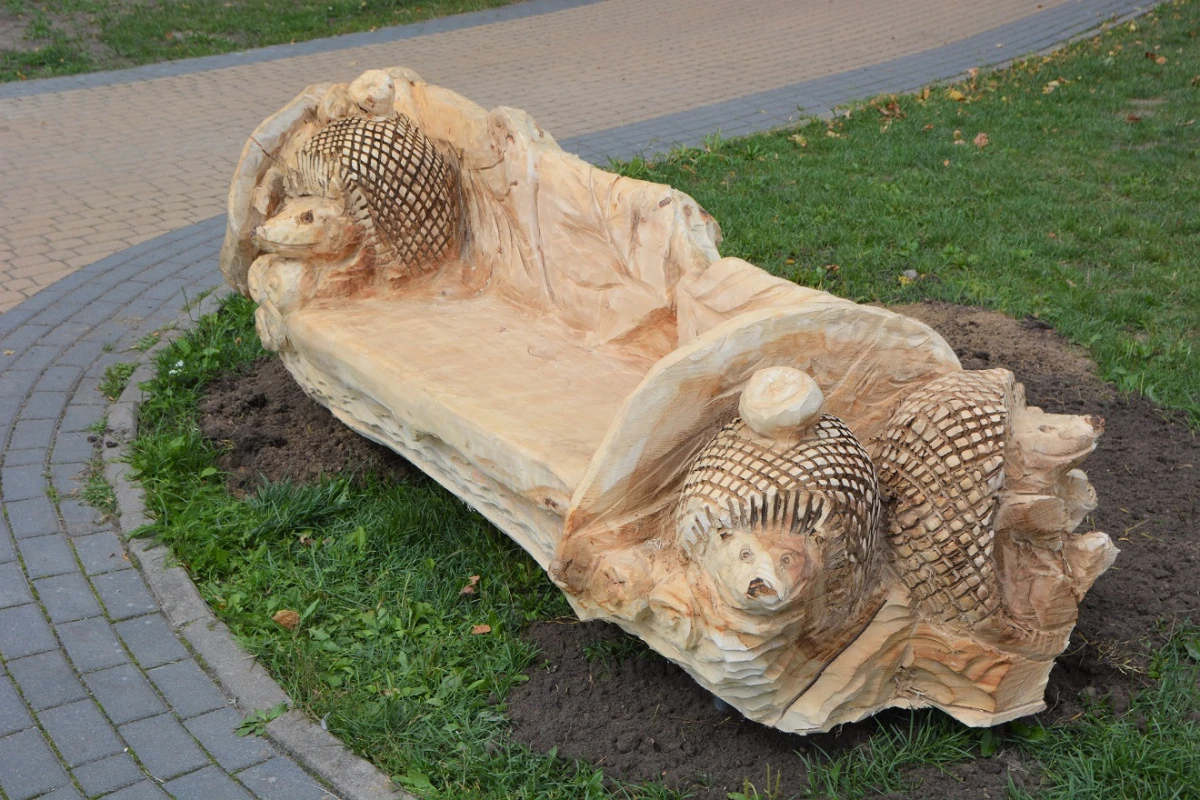 Zdjęcie
