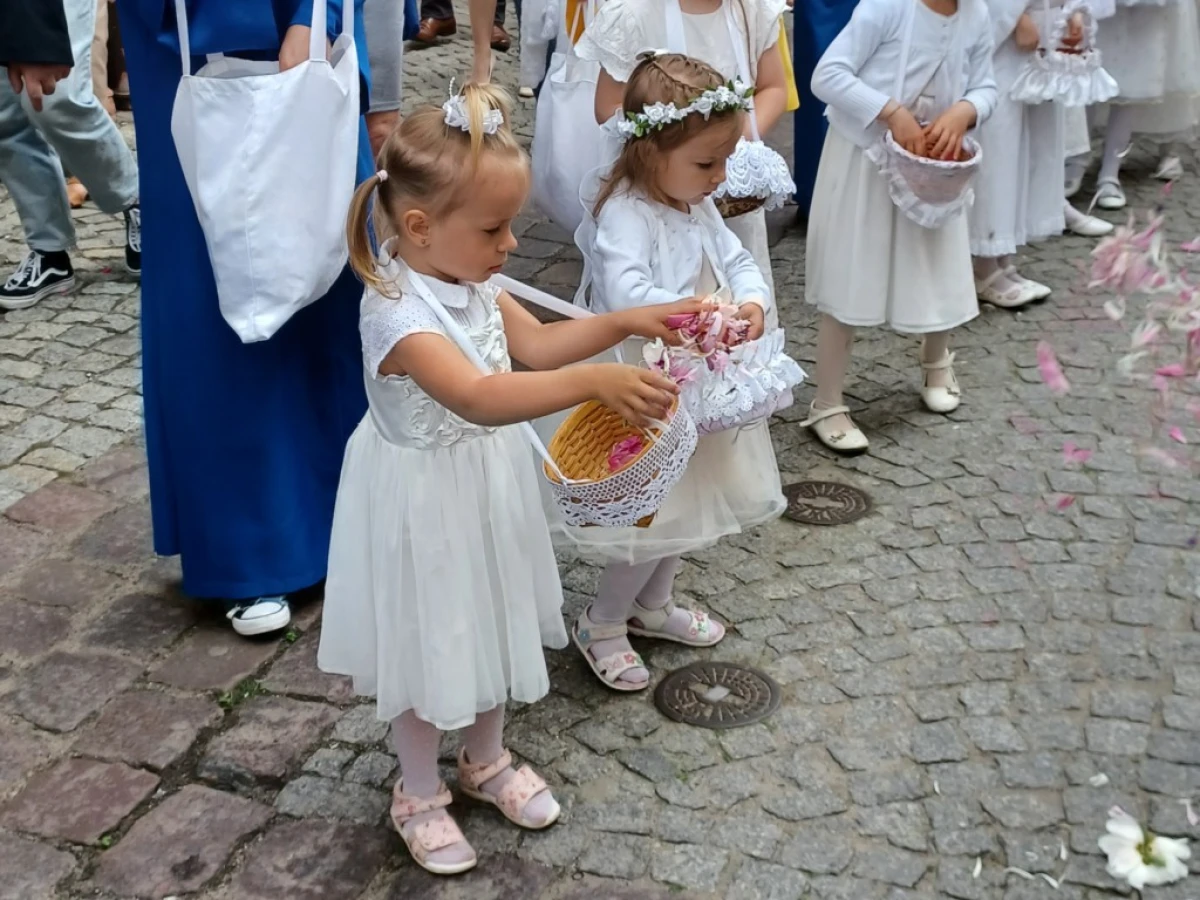 Zdjęcie