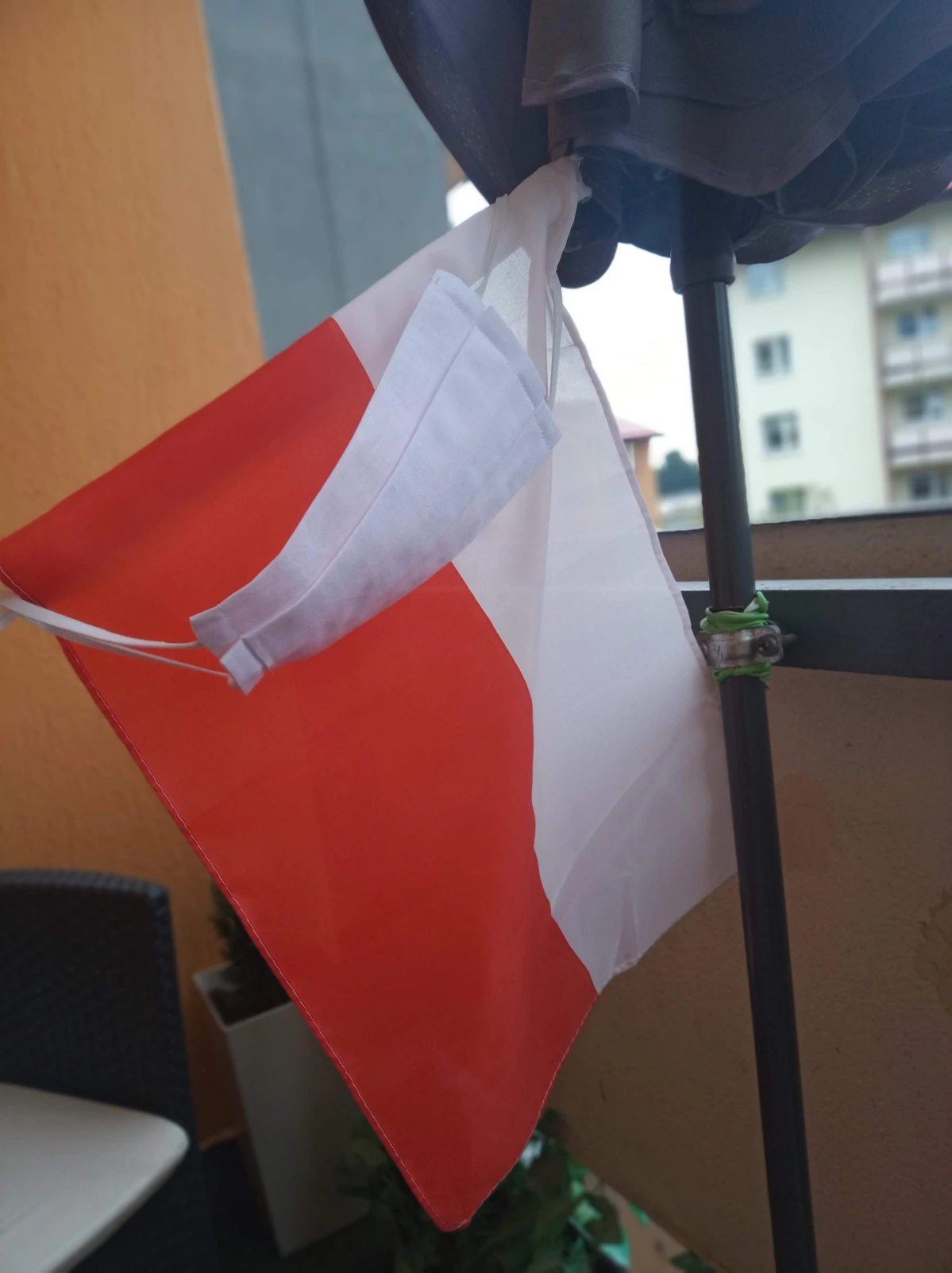 Zdjęcie