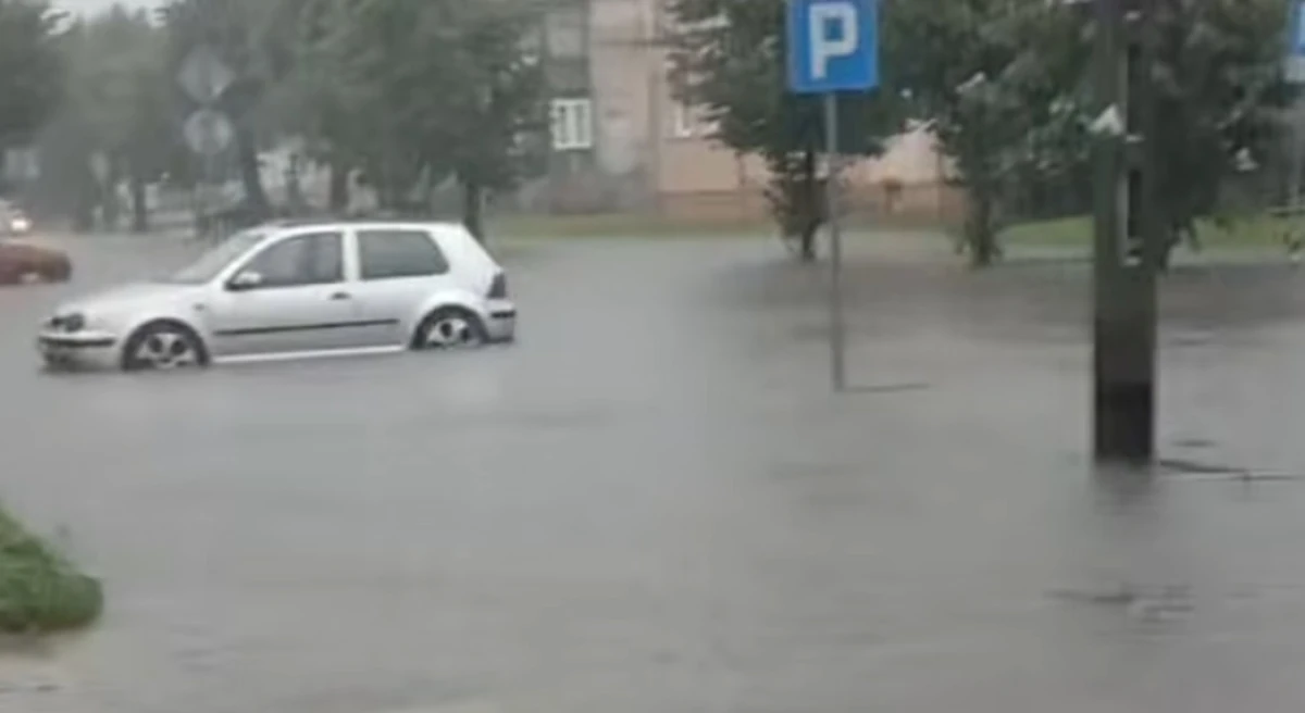Zdjęcie