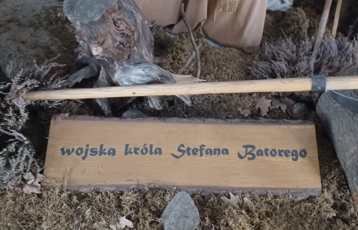 Zdjęcie