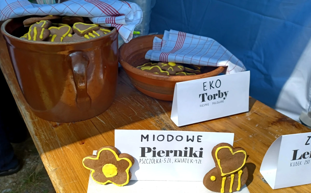 Zdjęcie