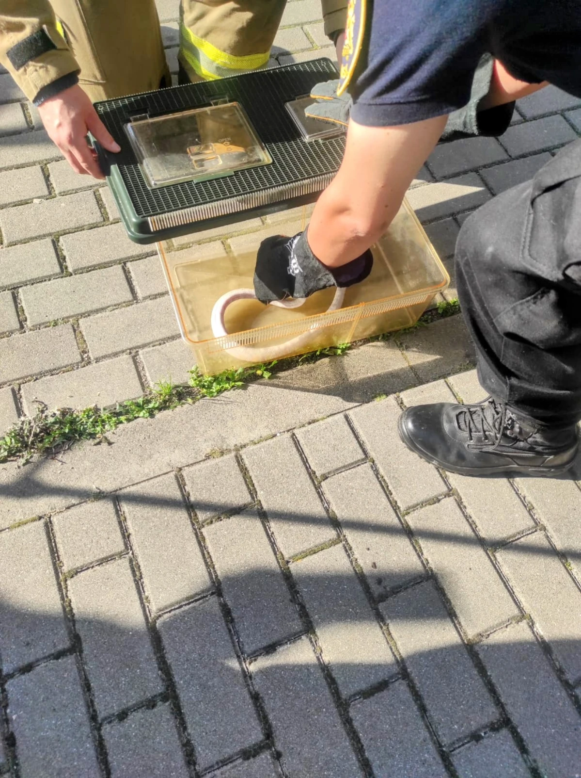 Zdjęcie