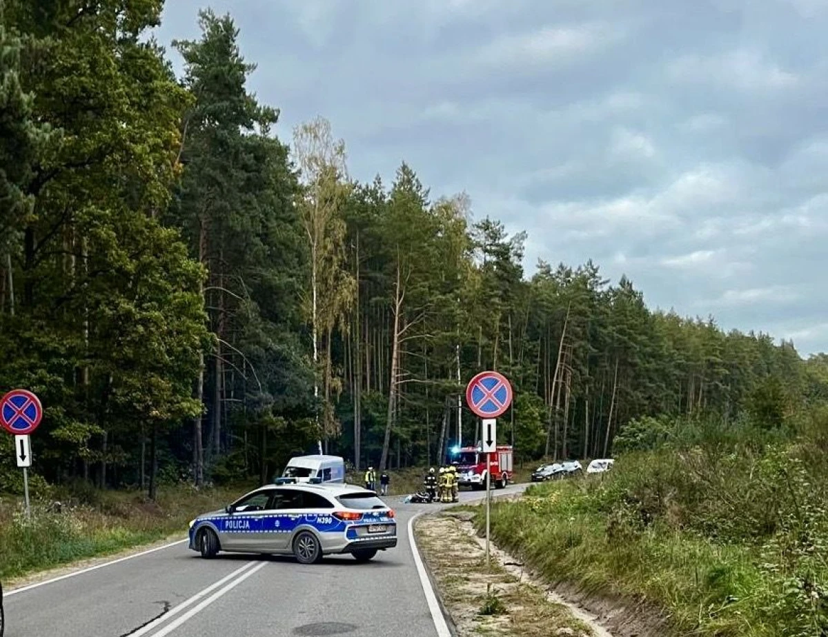 Zdjęcie