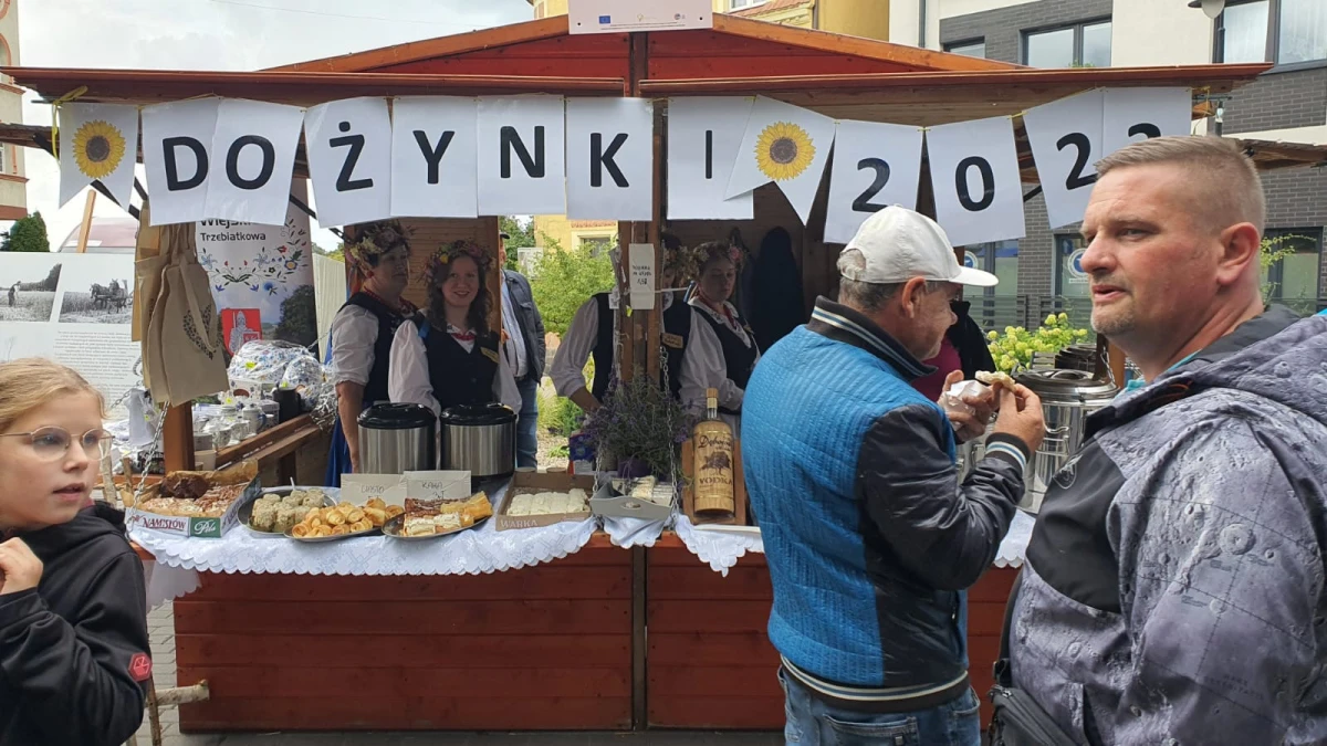 Zdjęcie