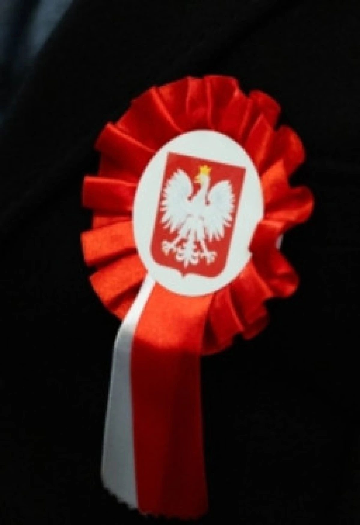 Zdjęcie