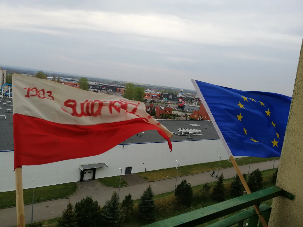 Zdjęcie