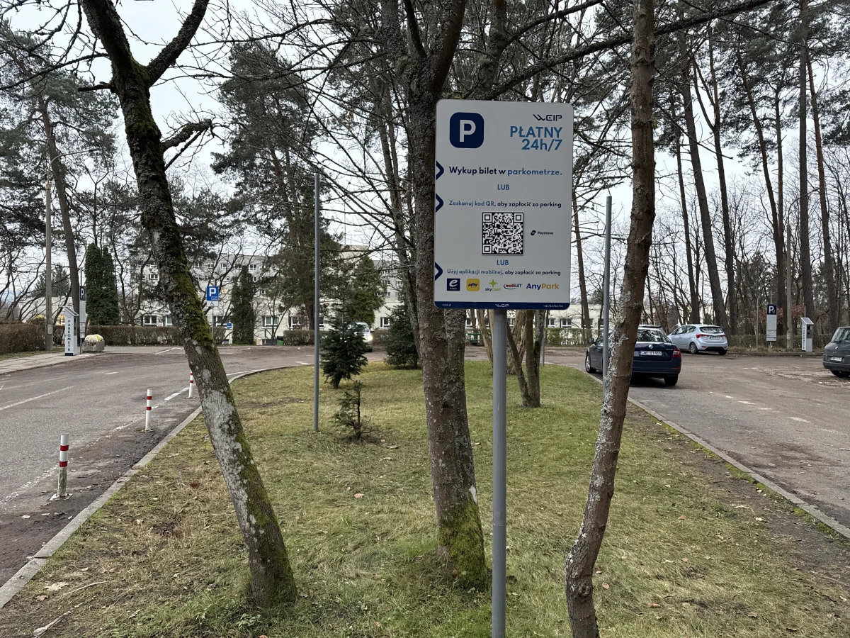 Zdjęcie