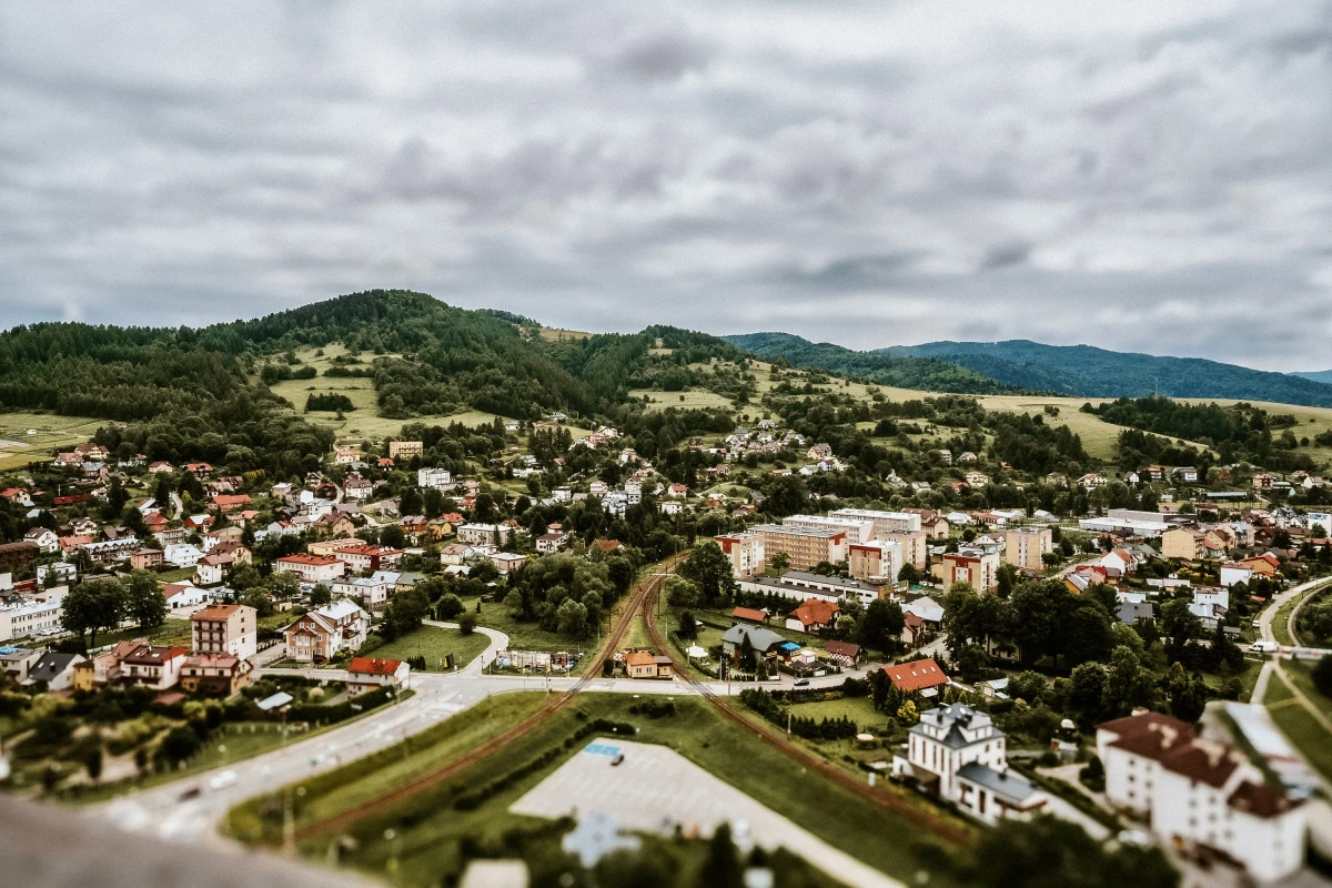 Zdjęcie