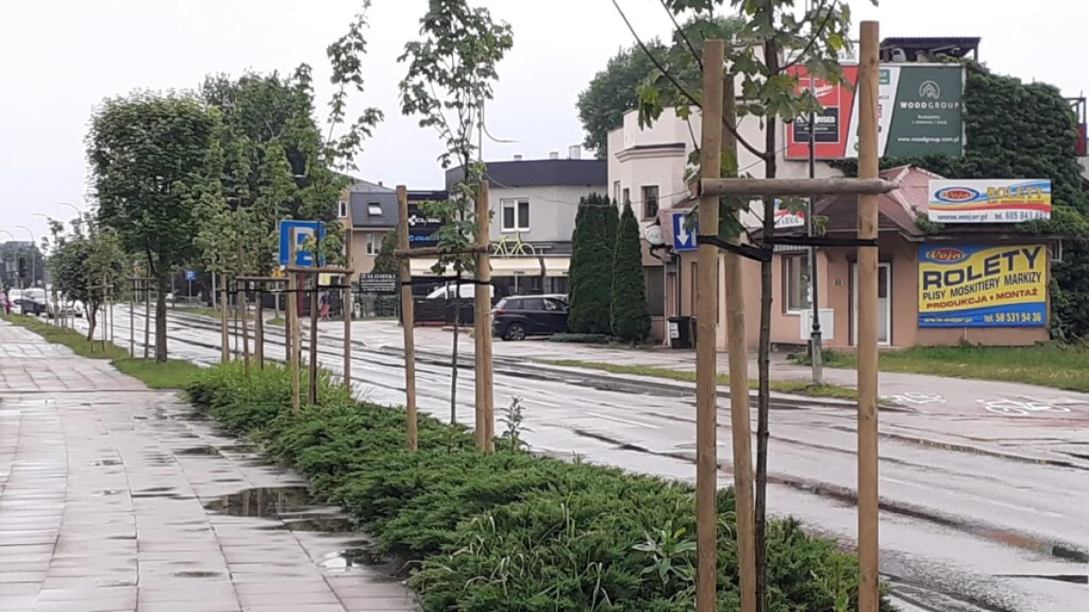 Zdjęcie